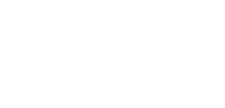 logo light